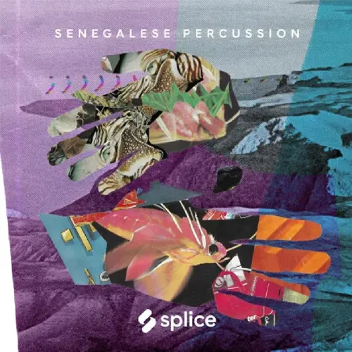 پکیج لوپ و سمپل Senegalese Percussion