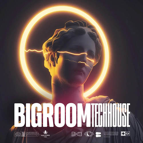 پکیج لوپ و سمپل Big Room Tech House