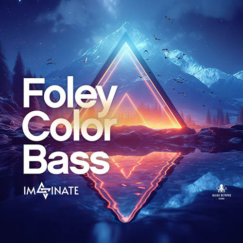 پکیج لوپ و سمپل Foley Color Bass by Imaginate