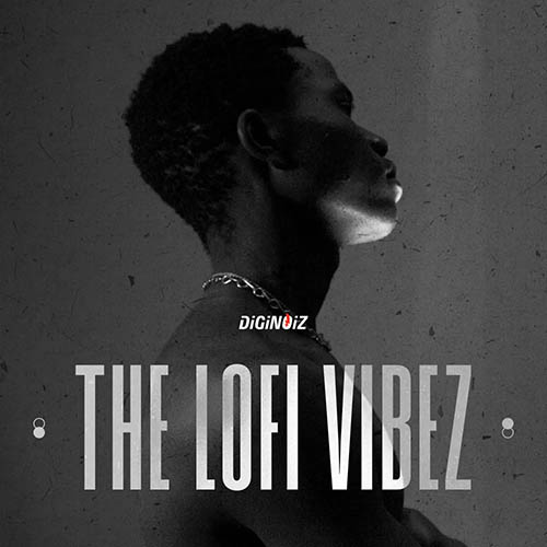 پکیج لوپ Diginoiz – The Lofi Vibez